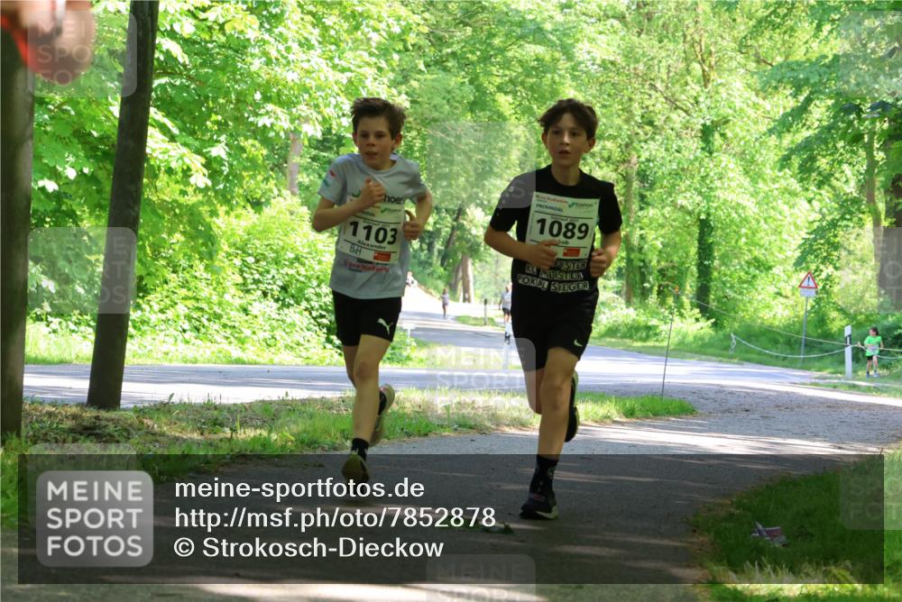 17.05.2025 - Störlauf Strokosch-Dieckow http://msf.ph/oto/7852878 17.05.2025 14:41:39 Laufen 1103, 1089 meine-sportfotos.de