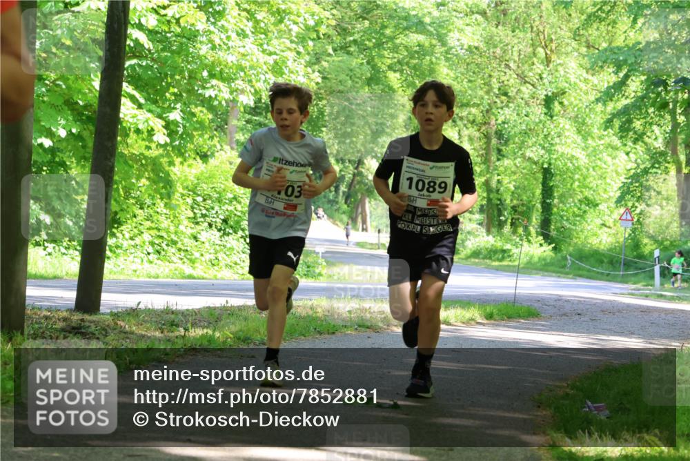 17.05.2025 - Störlauf Strokosch-Dieckow http://msf.ph/oto/7852881 17.05.2025 14:41:39 Laufen 03, 1089 meine-sportfotos.de