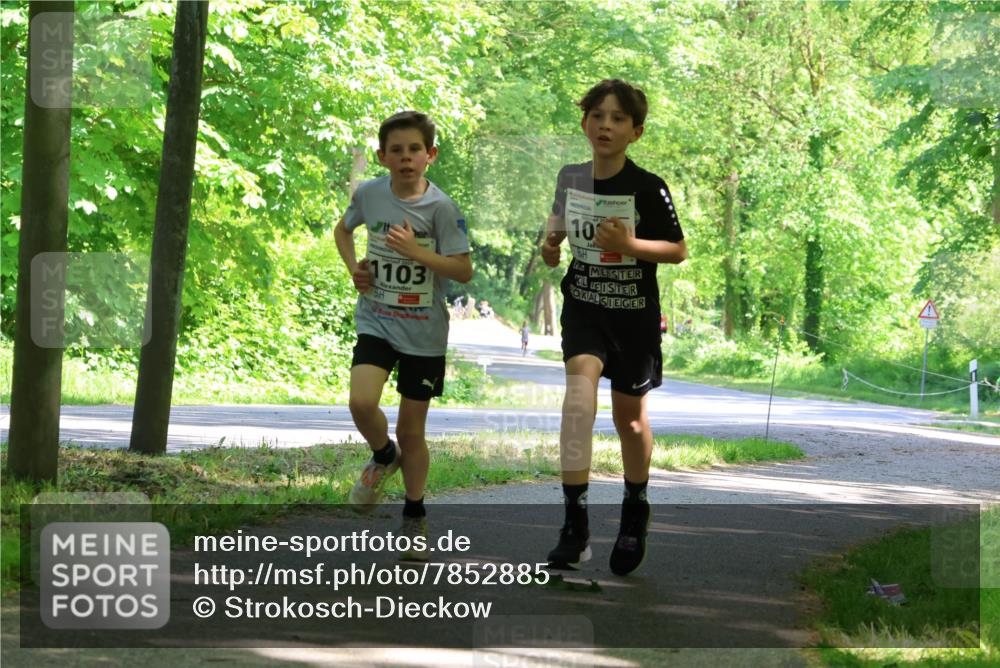 17.05.2025 - Störlauf Strokosch-Dieckow http://msf.ph/oto/7852885 17.05.2025 14:41:39 Laufen 1103, 10, 10 meine-sportfotos.de