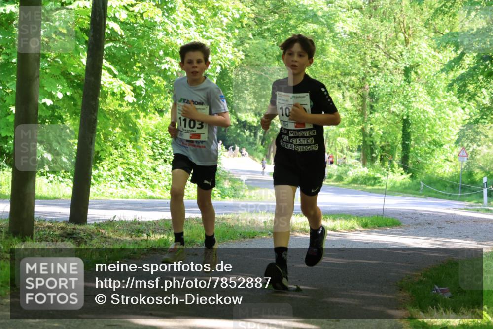 17.05.2025 - Störlauf Strokosch-Dieckow http://msf.ph/oto/7852887 17.05.2025 14:41:39 Laufen 1103, 10 meine-sportfotos.de