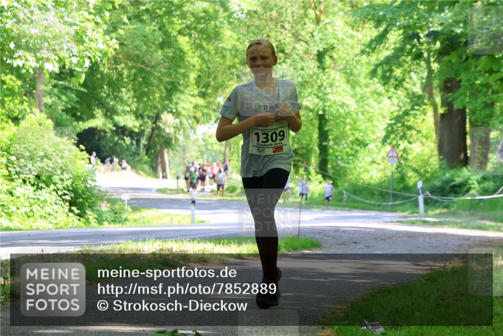 17.05.2025 - Störlauf Strokosch-Dieckow http://msf.ph/oto/7852889 17.05.2025 14:41:46 Laufen 2025, 1309 meine-sportfotos.de