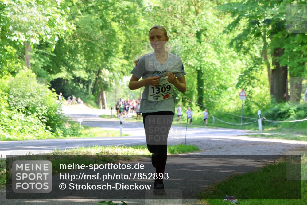 17.05.2025 - Störlauf Strokosch-Dieckow http://msf.ph/oto/7852893 17.05.2025 14:41:46 Laufen 2025, 1309 meine-sportfotos.de