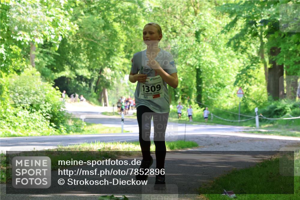 17.05.2025 - Störlauf Strokosch-Dieckow http://msf.ph/oto/7852896 17.05.2025 14:41:46 Laufen 2025, 1309 meine-sportfotos.de