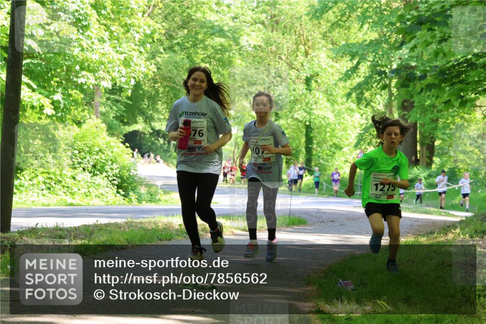 17.05.2025 - Störlauf Strokosch-Dieckow http://msf.ph/oto/7856562 17.05.2025 14:41:58 Laufen 76, 1275 meine-sportfotos.de