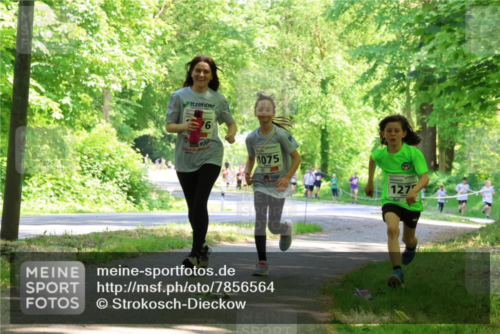 17.05.2025 - Störlauf Strokosch-Dieckow http://msf.ph/oto/7856564 17.05.2025 14:41:59 Laufen 16, 1075, 127 meine-sportfotos.de