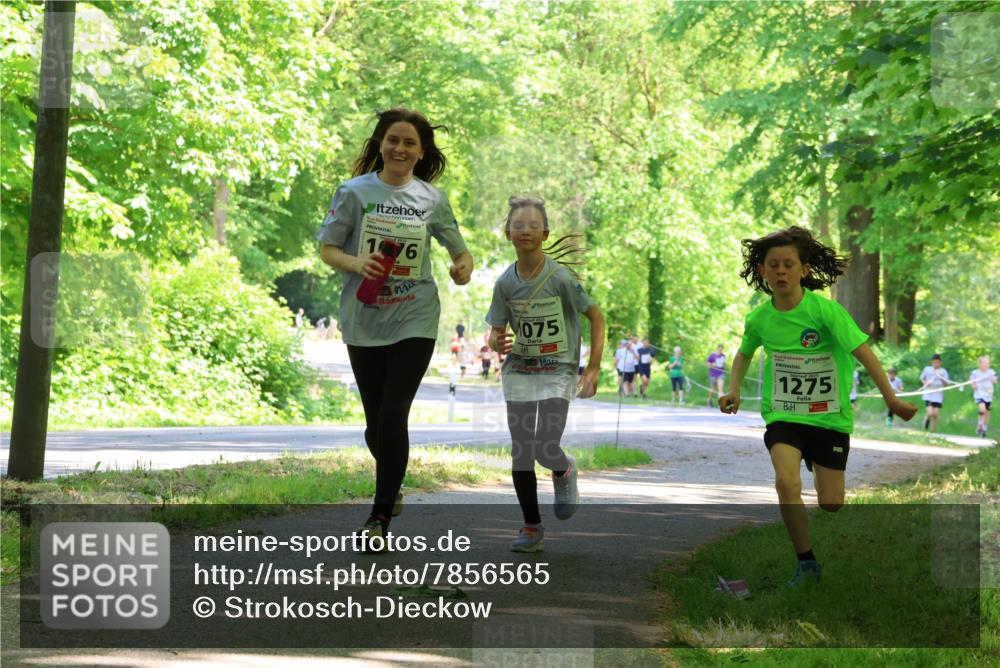 17.05.2025 - Störlauf Strokosch-Dieckow http://msf.ph/oto/7856565 17.05.2025 14:41:59 Laufen 176, 075, 1275 meine-sportfotos.de