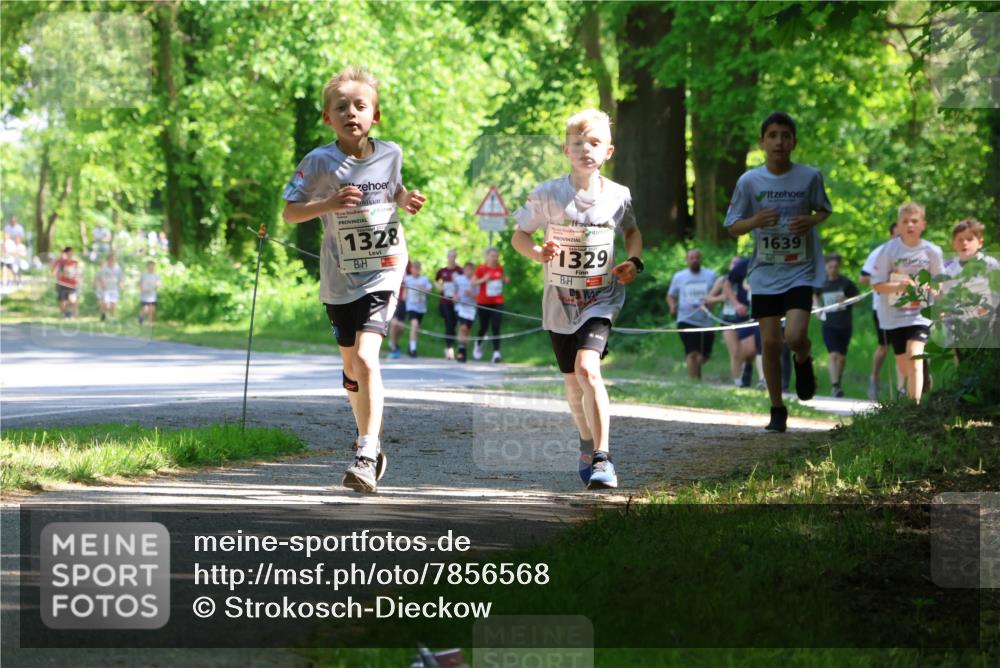 17.05.2025 - Störlauf Strokosch-Dieckow http://msf.ph/oto/7856568 17.05.2025 14:42:11 Laufen 202, 1328, 1329, 1639 meine-sportfotos.de