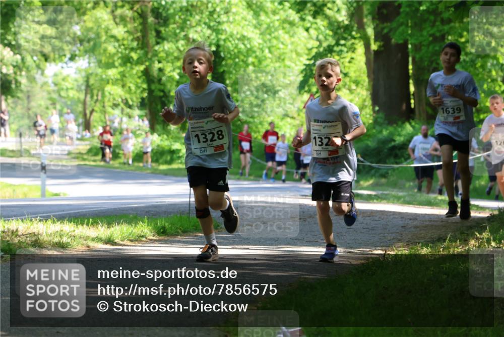 17.05.2025 - Störlauf Strokosch-Dieckow http://msf.ph/oto/7856575 17.05.2025 14:42:12 Laufen 2025, 1328, 132, 1639, 120 meine-sportfotos.de