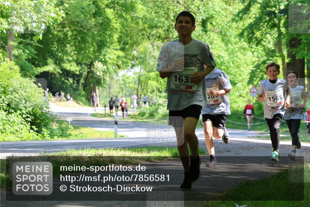 17.05.2025 - Störlauf Strokosch-Dieckow http://msf.ph/oto/7856581 17.05.2025 14:42:16 Laufen 2025, 1639, 200, 1565, 90 meine-sportfotos.de