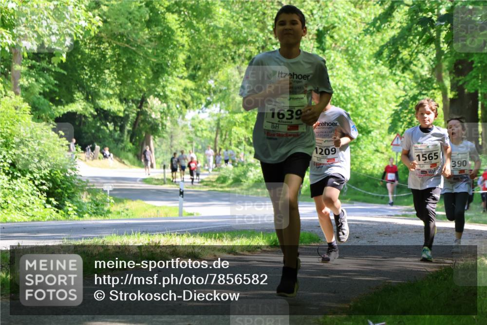 17.05.2025 - Störlauf Strokosch-Dieckow http://msf.ph/oto/7856582 17.05.2025 14:42:16 Laufen 2025, 1639, 1209, 1565, 390 meine-sportfotos.de