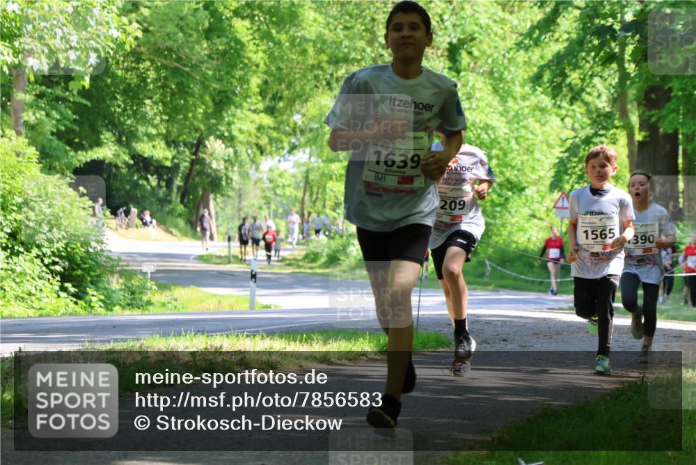 17.05.2025 - Störlauf Strokosch-Dieckow http://msf.ph/oto/7856583 17.05.2025 14:42:16 Laufen 1639, 209, 1565, 390 meine-sportfotos.de