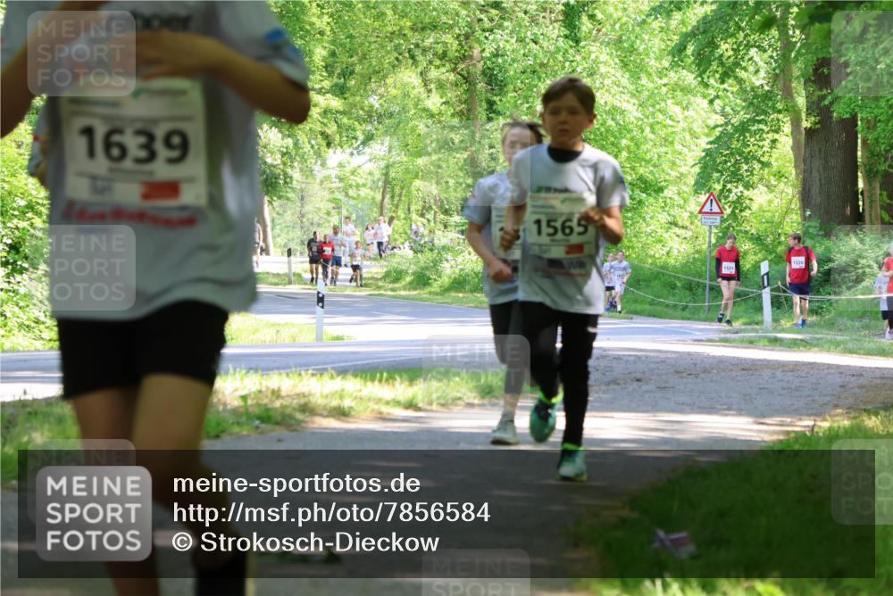 17.05.2025 - Störlauf Strokosch-Dieckow http://msf.ph/oto/7856584 17.05.2025 14:42:18 Laufen 1639, 1565, 1521, 1520 meine-sportfotos.de