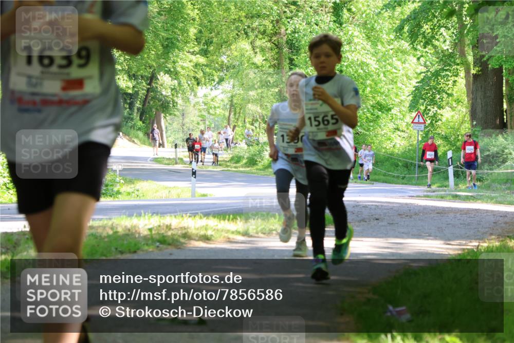 17.05.2025 - Störlauf Strokosch-Dieckow http://msf.ph/oto/7856586 17.05.2025 14:42:18 Laufen 1639, 1390, 1565, 1521, 1520 meine-sportfotos.de
