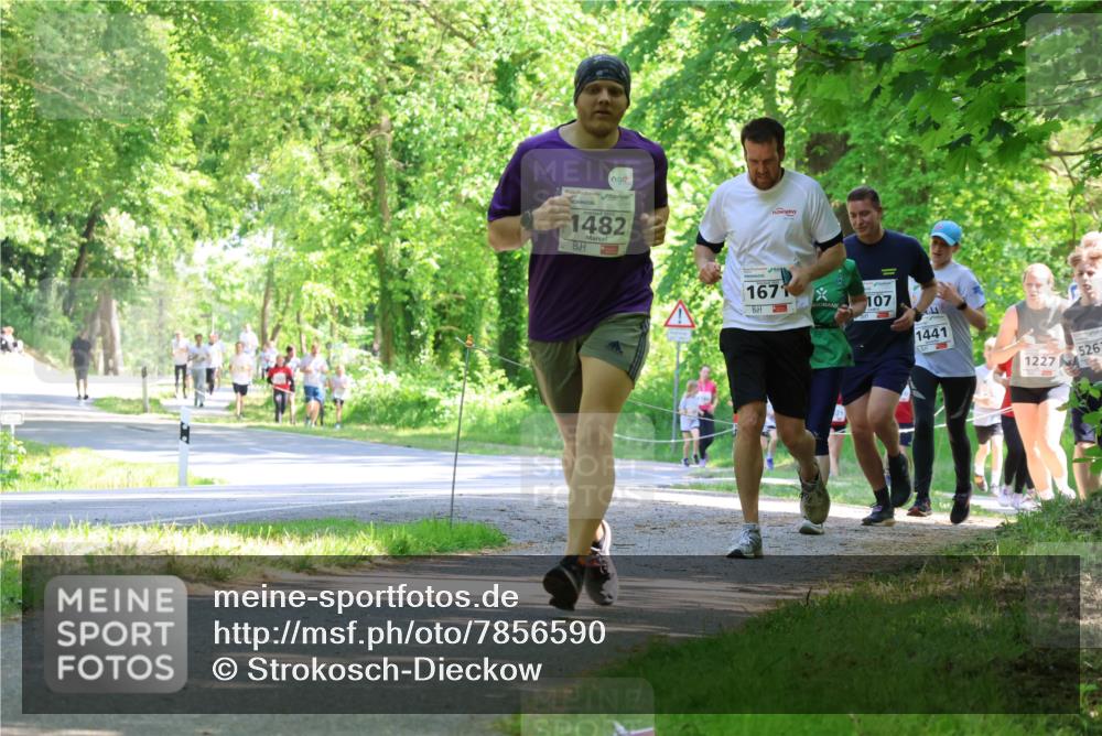 17.05.2025 - Störlauf Strokosch-Dieckow http://msf.ph/oto/7856590 17.05.2025 14:42:24 Laufen 1482, 167, 107, 1441, 5263, 1227 meine-sportfotos.de