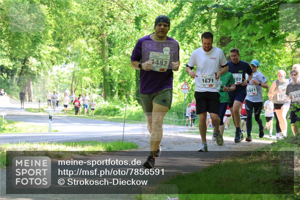 17.05.2025 - Störlauf Strokosch-Dieckow http://msf.ph/oto/7856591 17.05.2025 14:42:24 Laufen 1482, 1671, 107, 1441, 1227, 263 meine-sportfotos.de