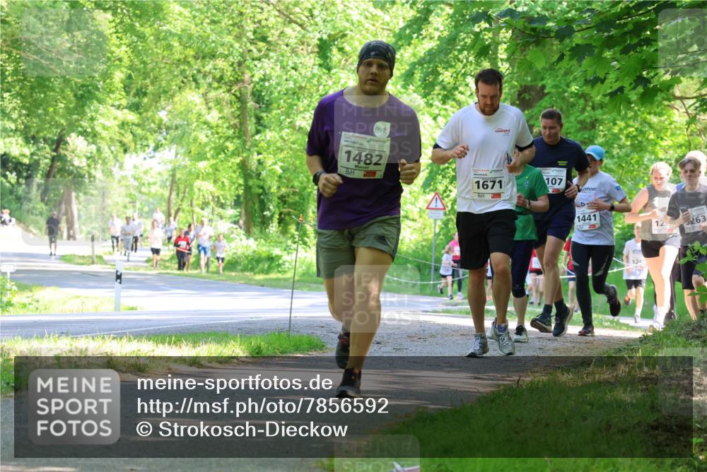 17.05.2025 - Störlauf Strokosch-Dieckow http://msf.ph/oto/7856592 17.05.2025 14:42:24 Laufen 1482, 1671, 107, 1441, 122, 263 meine-sportfotos.de