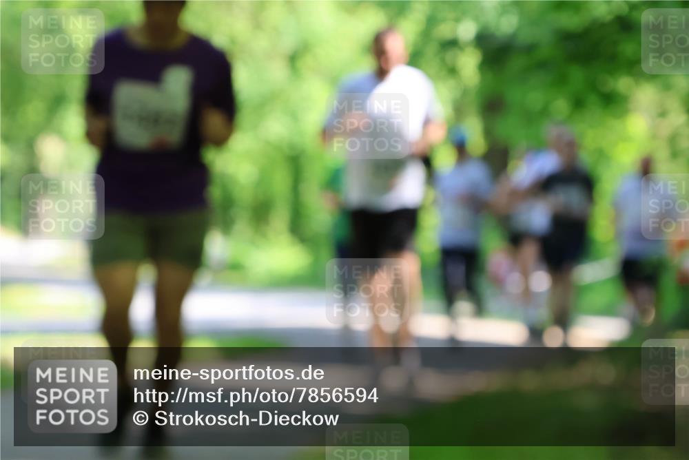 17.05.2025 - Störlauf Strokosch-Dieckow http://msf.ph/oto/7856594 17.05.2025 14:42:25 Laufen  meine-sportfotos.de