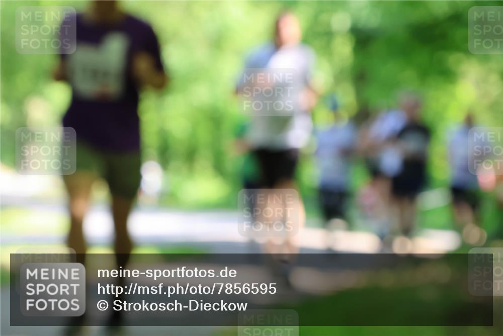 17.05.2025 - Störlauf Strokosch-Dieckow http://msf.ph/oto/7856595 17.05.2025 14:42:26 Laufen  meine-sportfotos.de