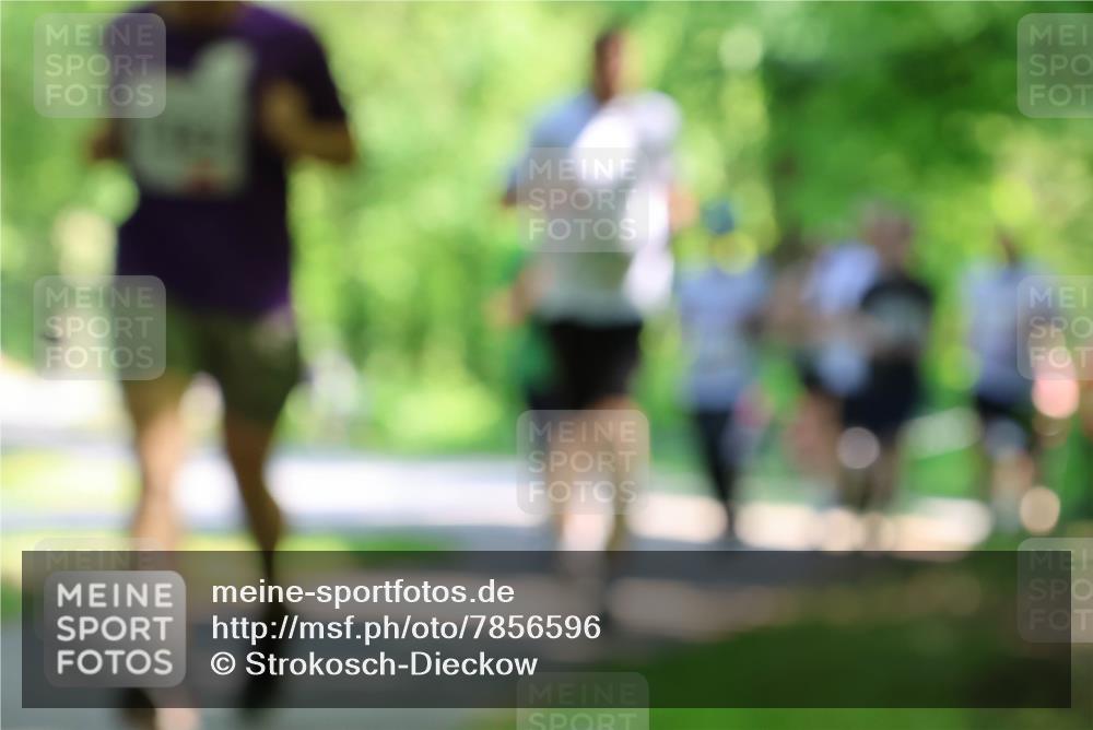 17.05.2025 - Störlauf Strokosch-Dieckow http://msf.ph/oto/7856596 17.05.2025 14:42:26 Laufen  meine-sportfotos.de