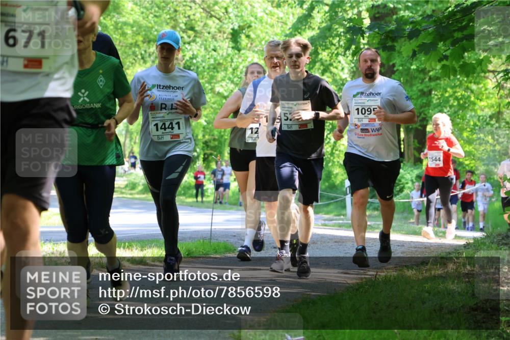 17.05.2025 - Störlauf Strokosch-Dieckow http://msf.ph/oto/7856598 17.05.2025 14:42:29 Laufen 671, 1441, 12, 5, 1095, 1544 meine-sportfotos.de