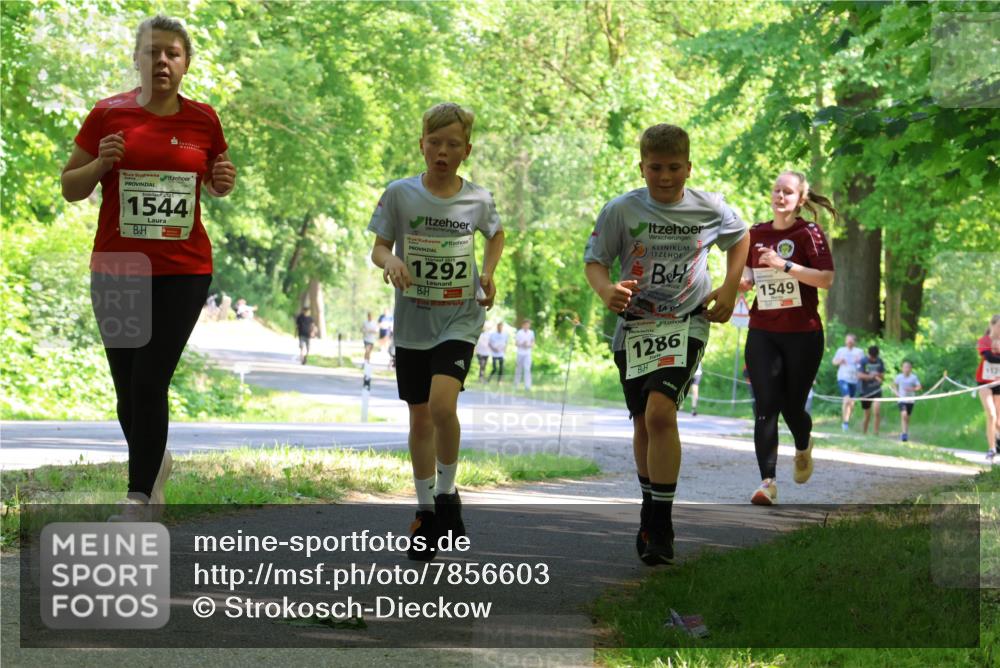17.05.2025 - Störlauf Strokosch-Dieckow http://msf.ph/oto/7856603 17.05.2025 14:42:36 Laufen 2025, 1544, 2025, 1292, 1286, 1549, 153 meine-sportfotos.de