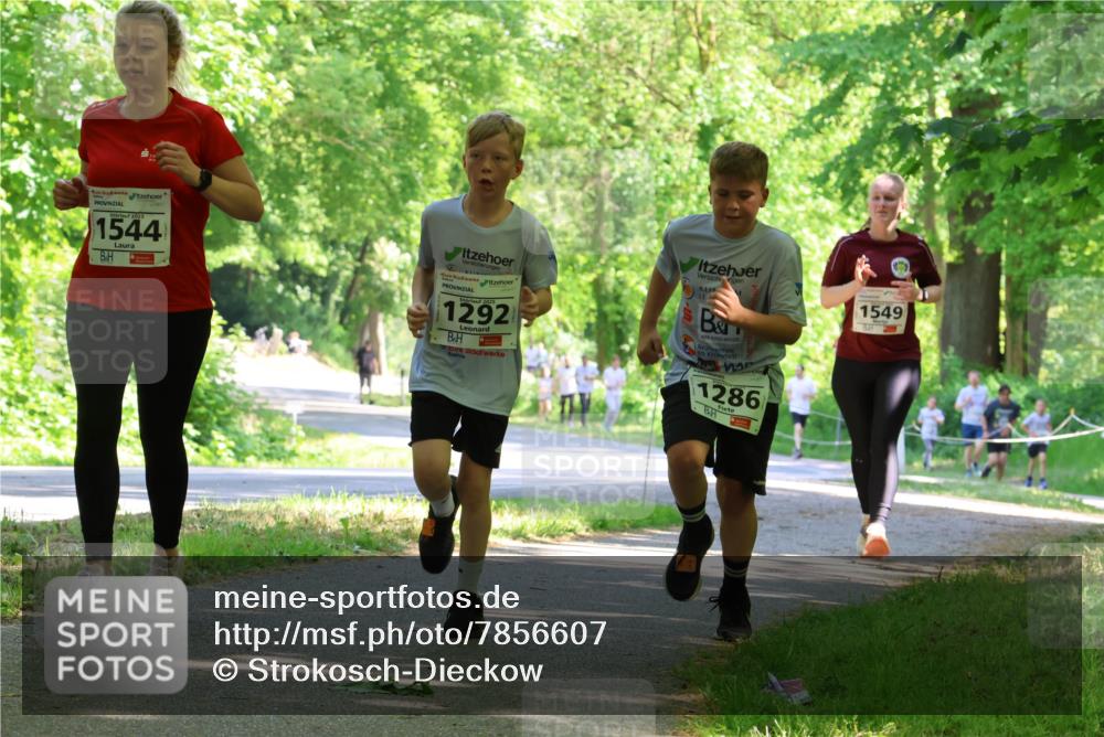 17.05.2025 - Störlauf Strokosch-Dieckow http://msf.ph/oto/7856607 17.05.2025 14:42:36 Laufen 2025, 1544, 1292, 1286, 1549 meine-sportfotos.de