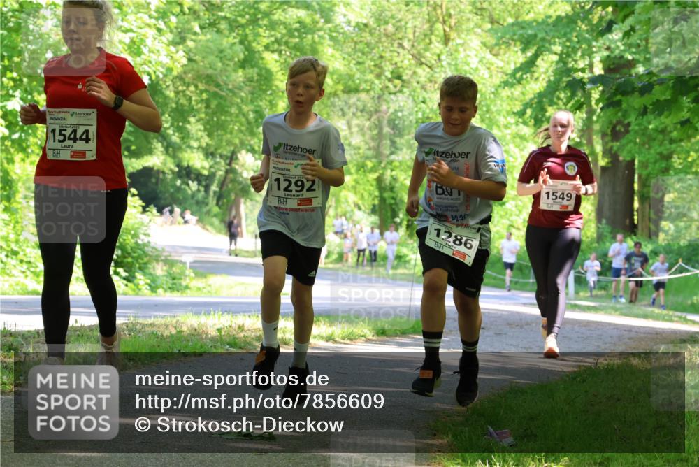 17.05.2025 - Störlauf Strokosch-Dieckow http://msf.ph/oto/7856609 17.05.2025 14:42:36 Laufen 2025, 1544, 2025, 1292, 1286, 1549 meine-sportfotos.de
