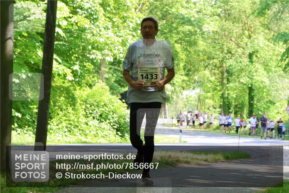 17.05.2025 - Störlauf Strokosch-Dieckow http://msf.ph/oto/7856667 17.05.2025 14:43:08 Laufen 2025, 1433 meine-sportfotos.de
