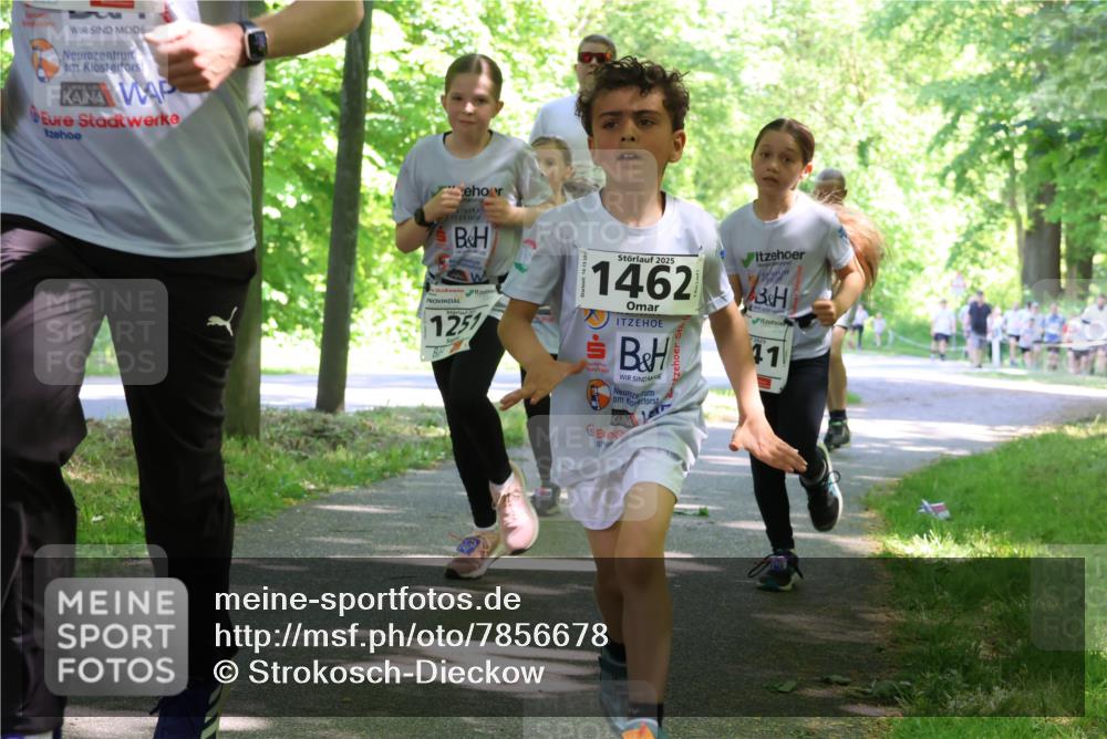 17.05.2025 - Störlauf Strokosch-Dieckow http://msf.ph/oto/7856678 17.05.2025 14:43:19 Laufen 1251, 2025, 1462, 41 meine-sportfotos.de