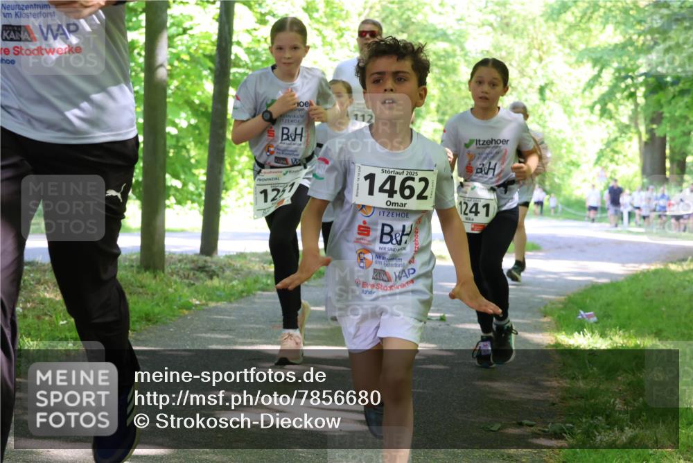 17.05.2025 - Störlauf Strokosch-Dieckow http://msf.ph/oto/7856680 17.05.2025 14:43:19 Laufen 1257, 112, 2025, 1462, 1241 meine-sportfotos.de