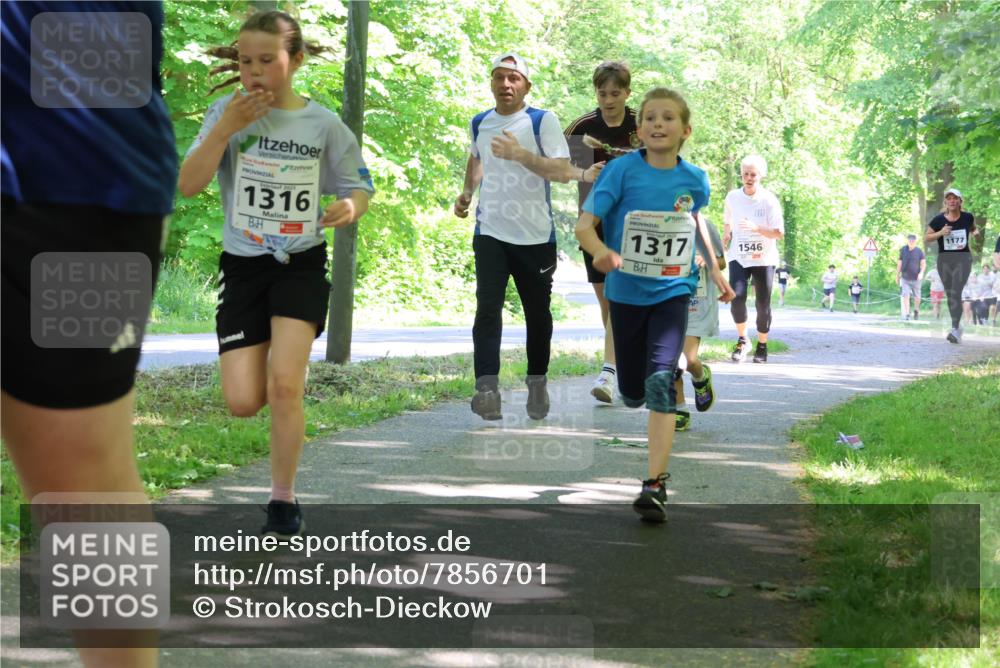 17.05.2025 - Störlauf Strokosch-Dieckow http://msf.ph/oto/7856701 17.05.2025 14:43:31 Laufen 2021, 1316, 1317, 1546, 1177 meine-sportfotos.de