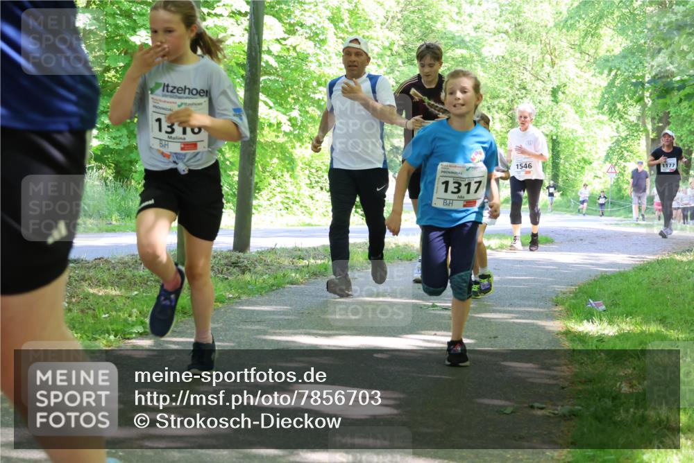 17.05.2025 - Störlauf Strokosch-Dieckow http://msf.ph/oto/7856703 17.05.2025 14:43:31 Laufen 1310, 1317, 1546, 1177 meine-sportfotos.de