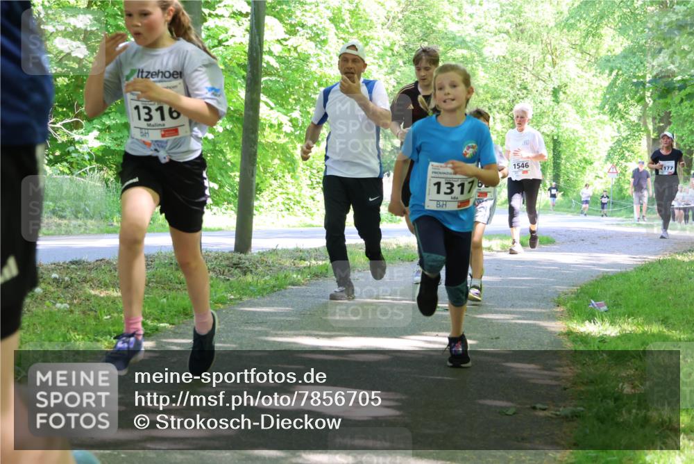 17.05.2025 - Störlauf Strokosch-Dieckow http://msf.ph/oto/7856705 17.05.2025 14:43:31 Laufen 1316, 107, 1317, 1546, 177 meine-sportfotos.de