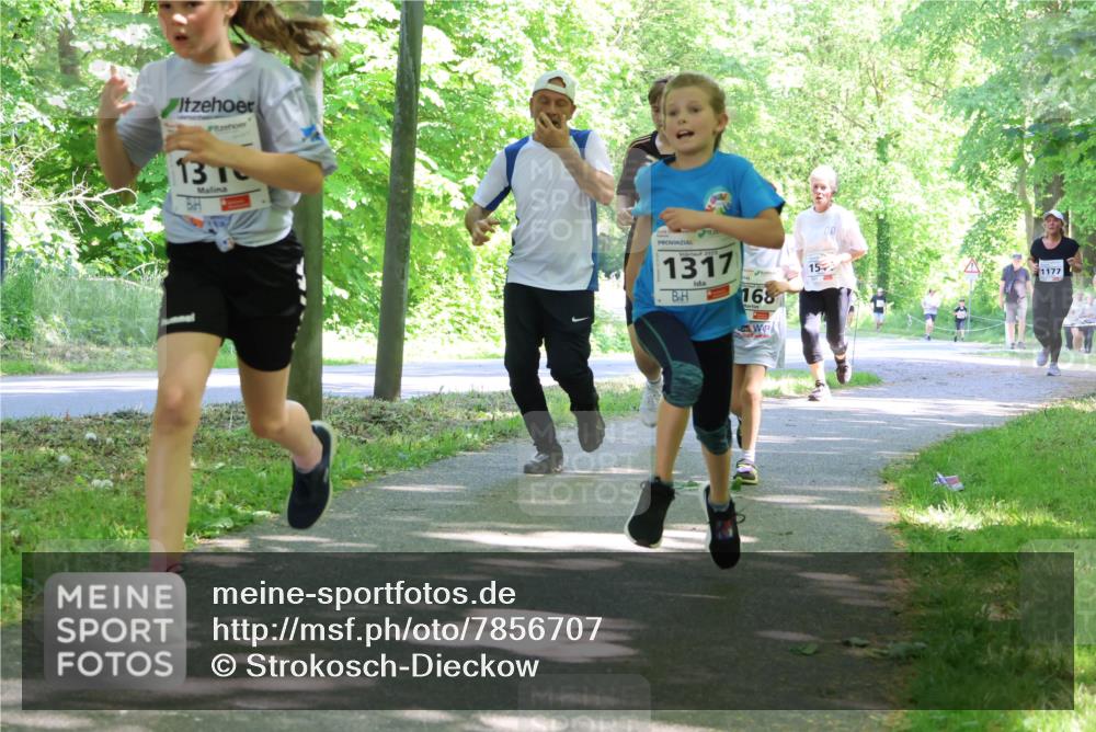 17.05.2025 - Störlauf Strokosch-Dieckow http://msf.ph/oto/7856707 17.05.2025 14:43:31 Laufen 13, 1317, 168, 15, 1177 meine-sportfotos.de