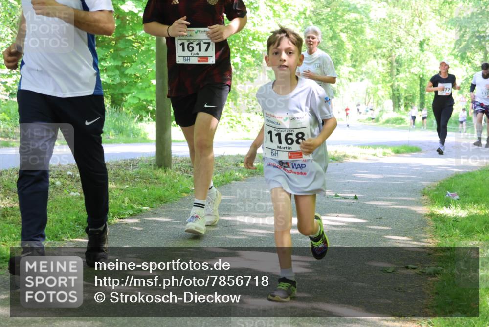 17.05.2025 - Störlauf Strokosch-Dieckow http://msf.ph/oto/7856718 17.05.2025 14:43:33 Laufen 2025, 1617, 2025, 1168, 77, 1124 meine-sportfotos.de