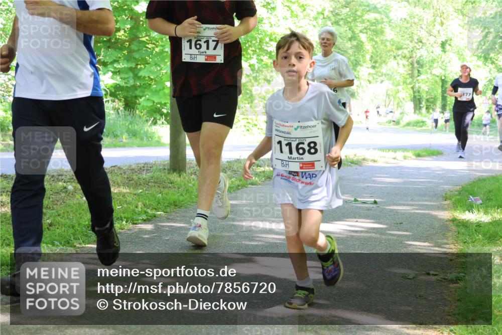 17.05.2025 - Störlauf Strokosch-Dieckow http://msf.ph/oto/7856720 17.05.2025 14:43:33 Laufen 2025, 1617, 2025, 1168, 177 meine-sportfotos.de