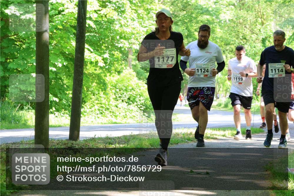 17.05.2025 - Störlauf Strokosch-Dieckow http://msf.ph/oto/7856729 17.05.2025 14:43:37 Laufen 2025, 1177, 1124, 1114, 1119 meine-sportfotos.de