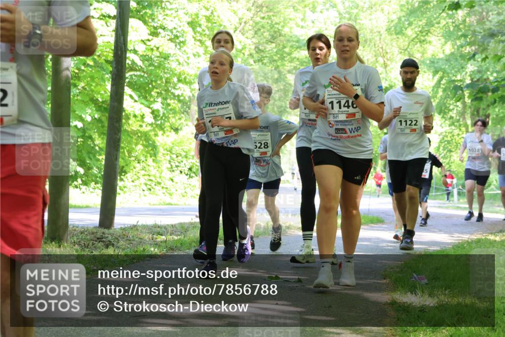 17.05.2025 - Störlauf Strokosch-Dieckow http://msf.ph/oto/7856788 17.05.2025 14:43:54 Laufen 2, 1146, 1122, 628, 1028 meine-sportfotos.de