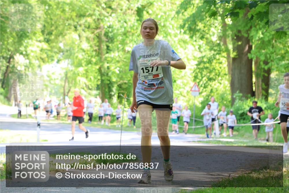 17.05.2025 - Störlauf Strokosch-Dieckow http://msf.ph/oto/7856837 17.05.2025 14:44:06 Laufen 1577, 10 meine-sportfotos.de