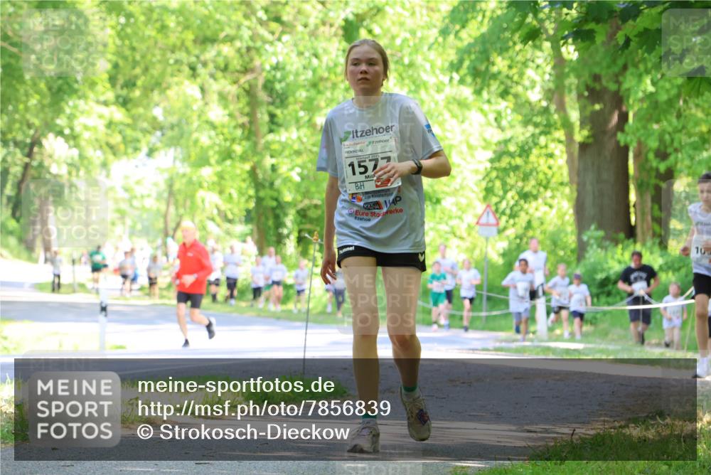 17.05.2025 - Störlauf Strokosch-Dieckow http://msf.ph/oto/7856839 17.05.2025 14:44:06 Laufen 1577, 10 meine-sportfotos.de