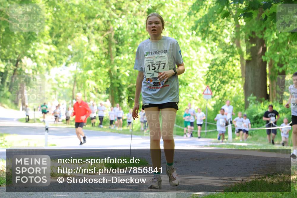 17.05.2025 - Störlauf Strokosch-Dieckow http://msf.ph/oto/7856841 17.05.2025 14:44:07 Laufen 1577, 10 meine-sportfotos.de