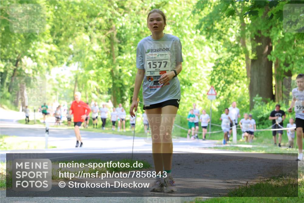 17.05.2025 - Störlauf Strokosch-Dieckow http://msf.ph/oto/7856843 17.05.2025 14:44:07 Laufen 1577, 109 meine-sportfotos.de