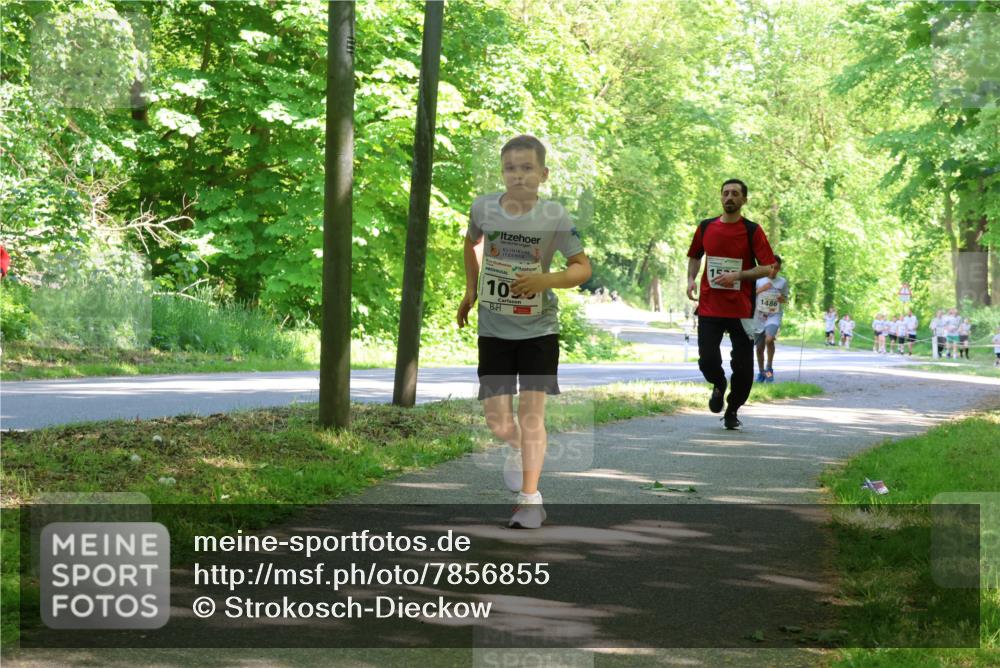 17.05.2025 - Störlauf Strokosch-Dieckow http://msf.ph/oto/7856855 17.05.2025 14:44:19 Laufen 10, 1486 meine-sportfotos.de