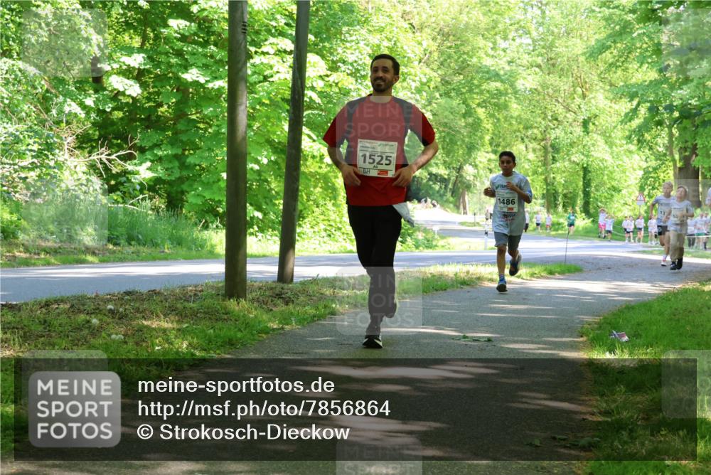 17.05.2025 - Störlauf Strokosch-Dieckow http://msf.ph/oto/7856864 17.05.2025 14:44:21 Laufen 1525, 1486, 13 meine-sportfotos.de