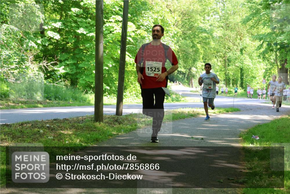 17.05.2025 - Störlauf Strokosch-Dieckow http://msf.ph/oto/7856866 17.05.2025 14:44:21 Laufen 1525, 1486, 147 meine-sportfotos.de