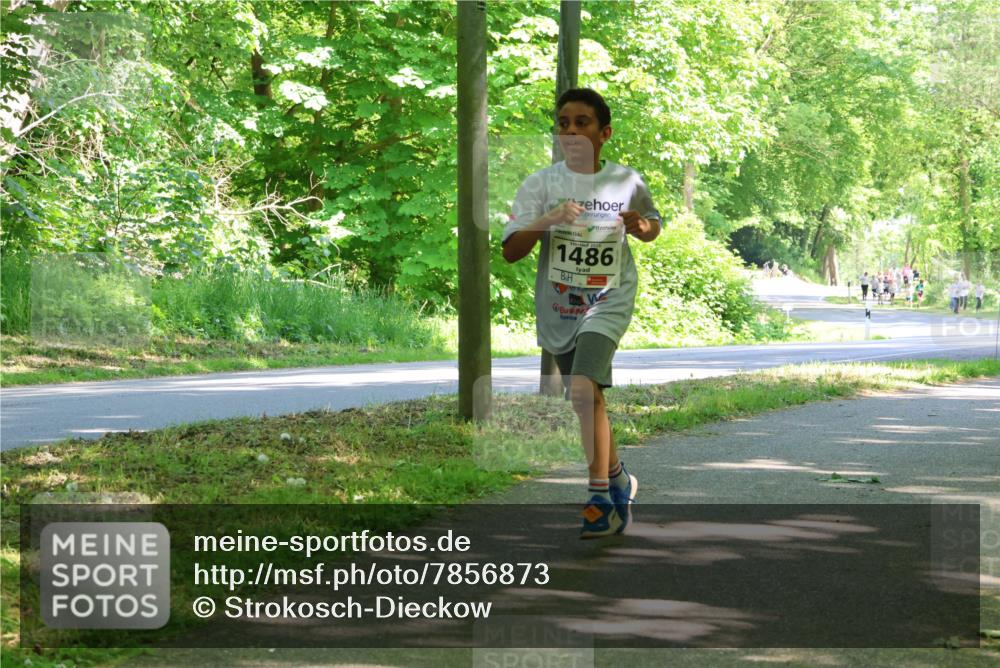 17.05.2025 - Störlauf Strokosch-Dieckow http://msf.ph/oto/7856873 17.05.2025 14:44:24 Laufen 1486 meine-sportfotos.de