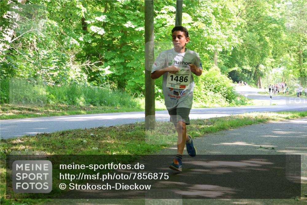 17.05.2025 - Störlauf Strokosch-Dieckow http://msf.ph/oto/7856875 17.05.2025 14:44:24 Laufen 1486 meine-sportfotos.de