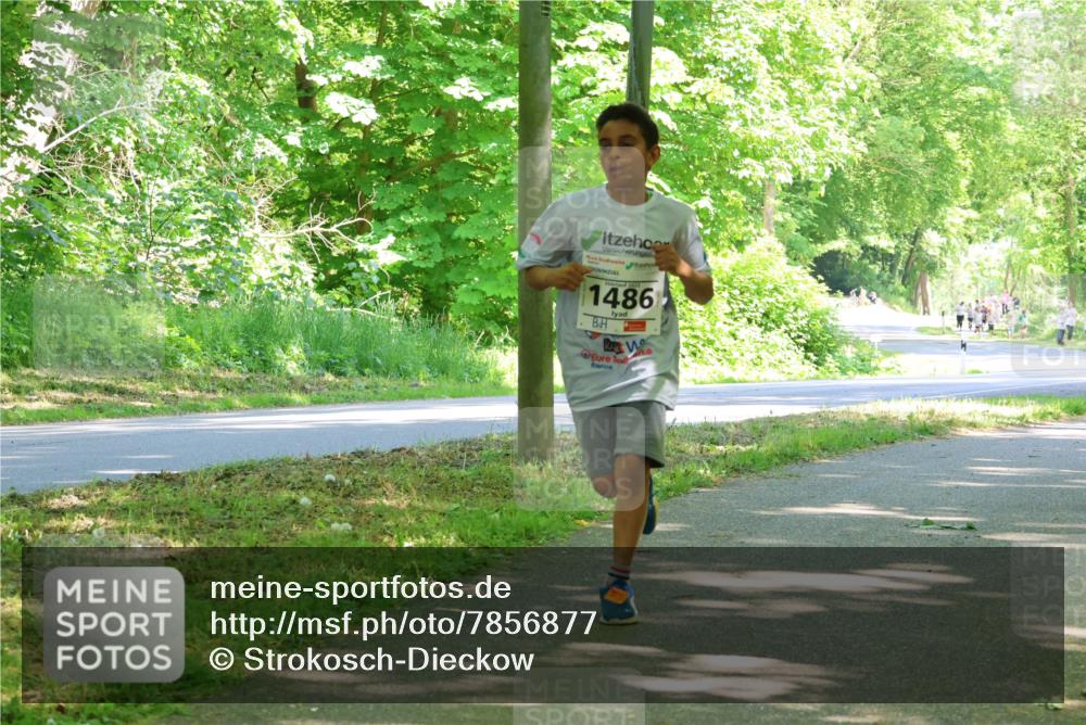 17.05.2025 - Störlauf Strokosch-Dieckow http://msf.ph/oto/7856877 17.05.2025 14:44:24 Laufen 2025, 1486 meine-sportfotos.de