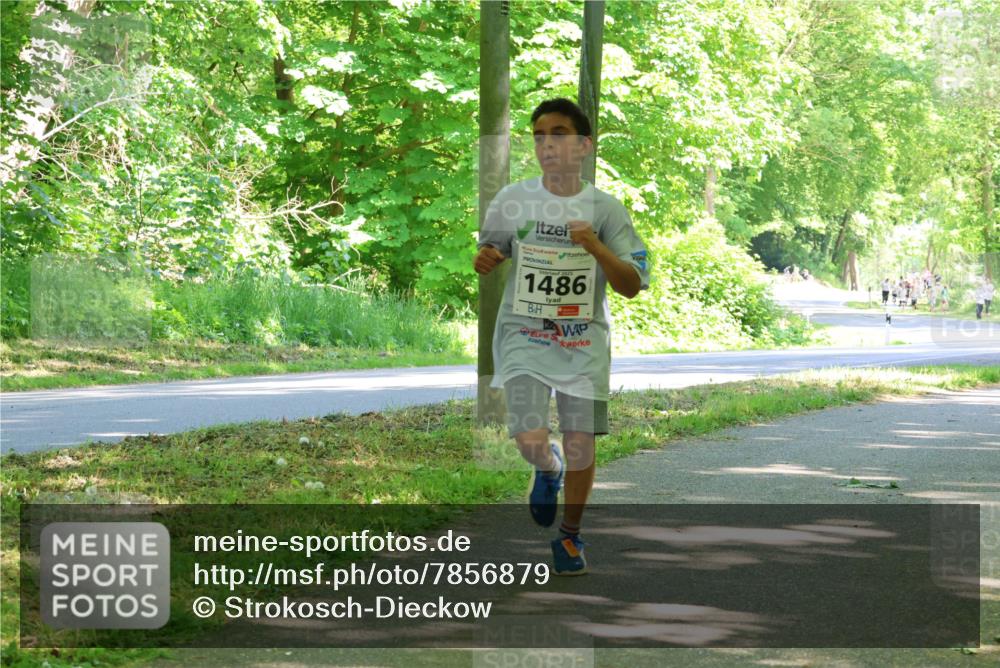 17.05.2025 - Störlauf Strokosch-Dieckow http://msf.ph/oto/7856879 17.05.2025 14:44:24 Laufen 1486 meine-sportfotos.de