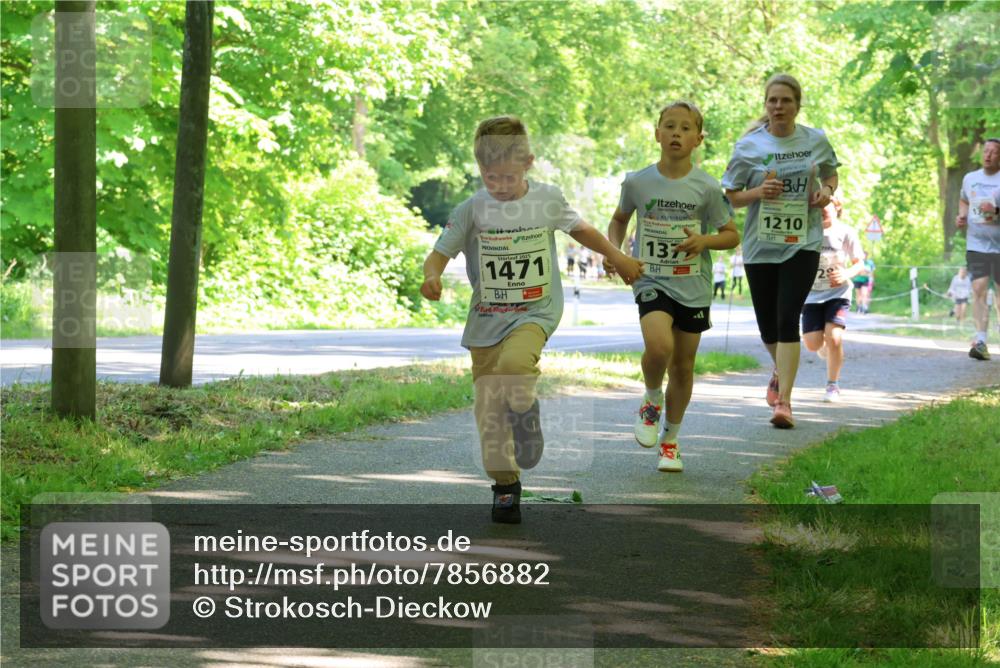 17.05.2025 - Störlauf Strokosch-Dieckow http://msf.ph/oto/7856882 17.05.2025 14:44:26 Laufen 2025, 1471, 137, 1210, 28 meine-sportfotos.de